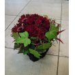東京都港区ベビーフローリストの花　サンプルアレンジ・1