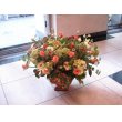 東京都港区ベビーフローリストの花　サンプルアレンジ・5