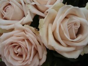 デザート！｜「ベビーフローリスト」　（東京都港区の花キューピット加盟店 花屋）のブログ